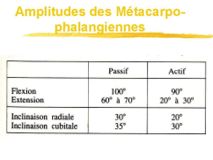 Amplitudes Métacarpophalangiennes 