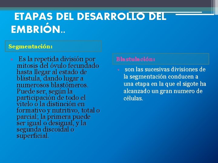 ETAPAS DEL DESARROLLO DEL EMBRIÓN. . Segmentación: • Es la repetida división por mitosis