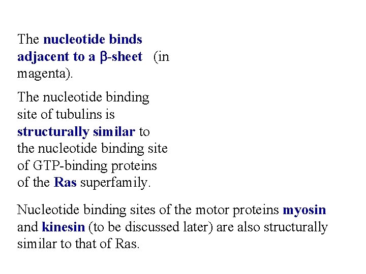 The nucleotide binds adjacent to a b-sheet (in magenta). The nucleotide binding site of