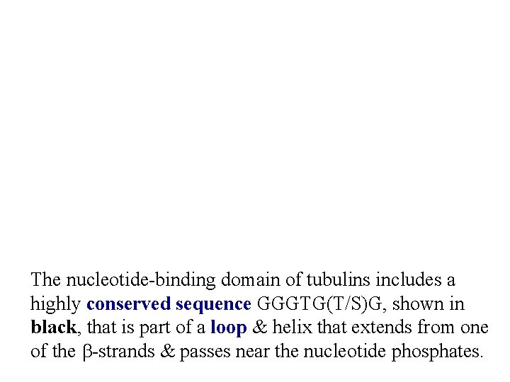 The nucleotide-binding domain of tubulins includes a highly conserved sequence GGGTG(T/S)G, shown in black,