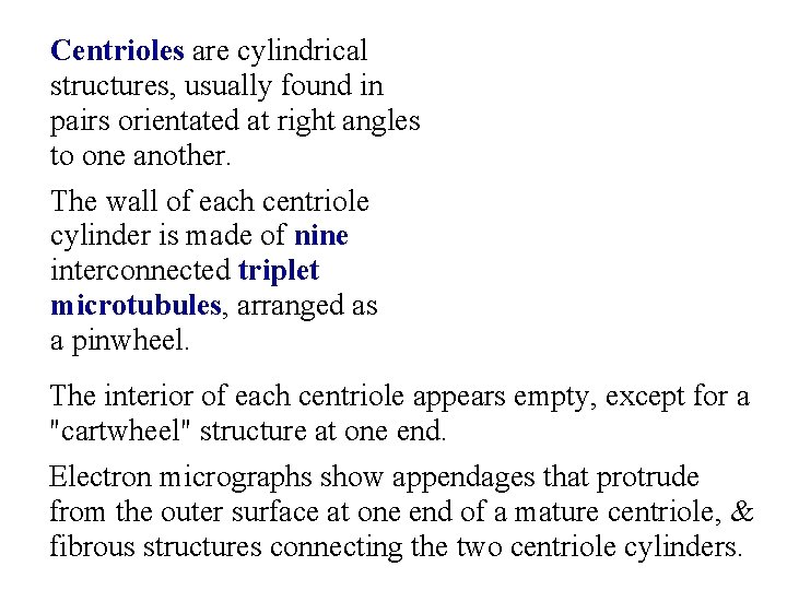 Centrioles are cylindrical structures, usually found in pairs orientated at right angles to one
