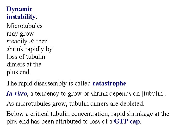 Dynamic instability: Microtubules may grow steadily & then shrink rapidly by loss of tubulin