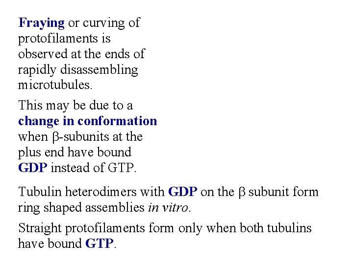 Fraying or curving of protofilaments is observed at the ends of rapidly disassembling microtubules.
