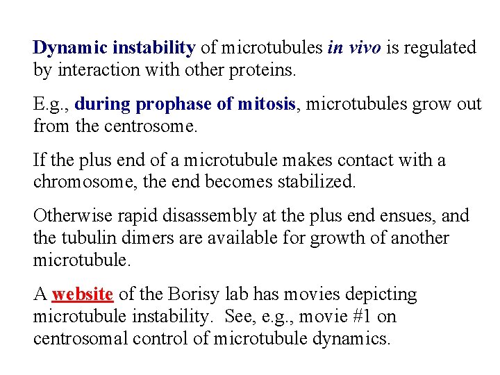 Dynamic instability of microtubules in vivo is regulated by interaction with other proteins. E.
