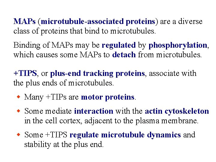 MAPs (microtubule-associated proteins) are a diverse class of proteins that bind to microtubules. Binding