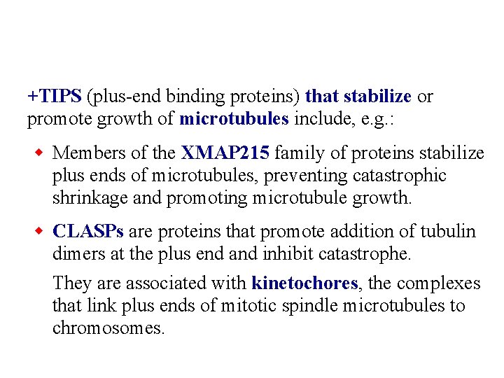 +TIPS (plus-end binding proteins) that stabilize or promote growth of microtubules include, e. g.