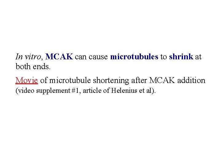 In vitro, MCAK can cause microtubules to shrink at both ends. Movie of microtubule