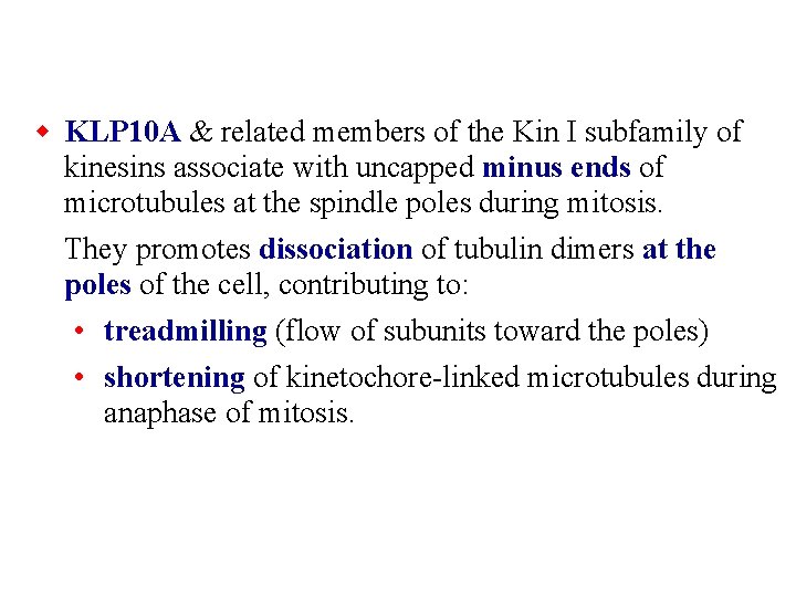 w KLP 10 A & related members of the Kin I subfamily of kinesins