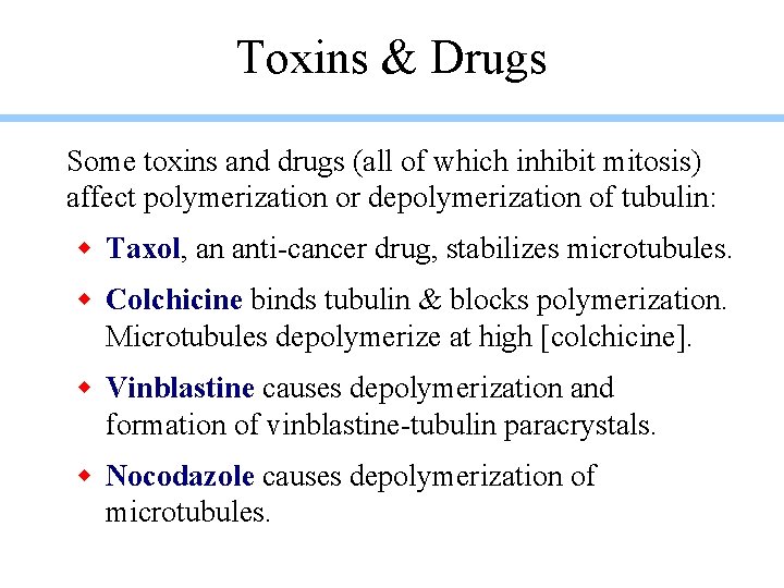 Toxins & Drugs Some toxins and drugs (all of which inhibit mitosis) affect polymerization