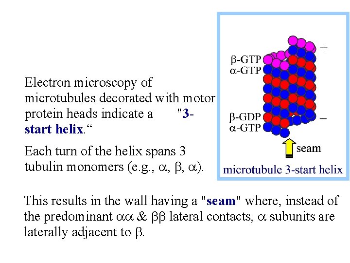 Electron microscopy of microtubules decorated with motor protein heads indicate a "3 start helix.