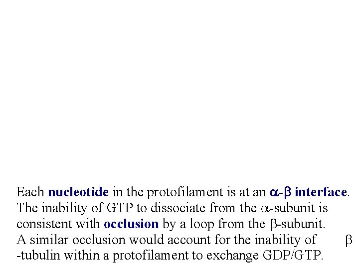 Each nucleotide in the protofilament is at an a-b interface. The inability of GTP