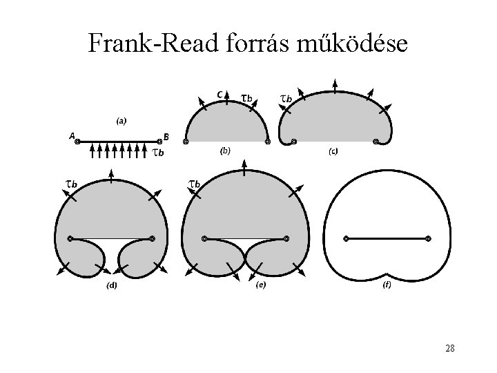 Frank-Read forrás működése 28 