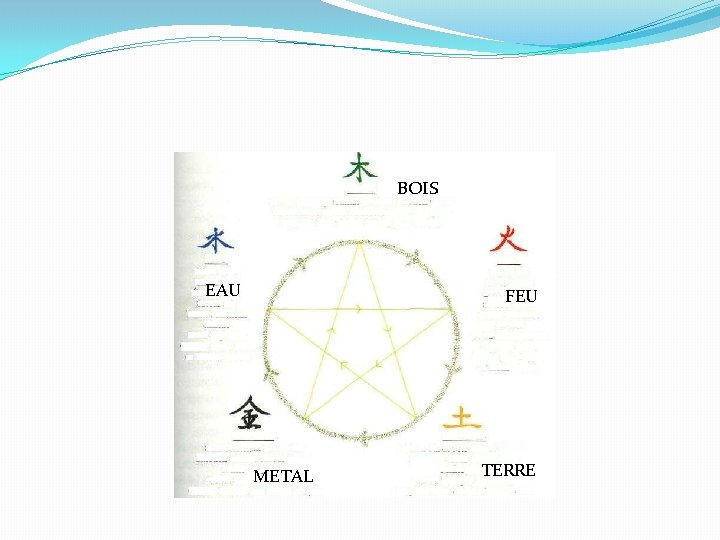BOIS EAU FEU METAL TERRE 