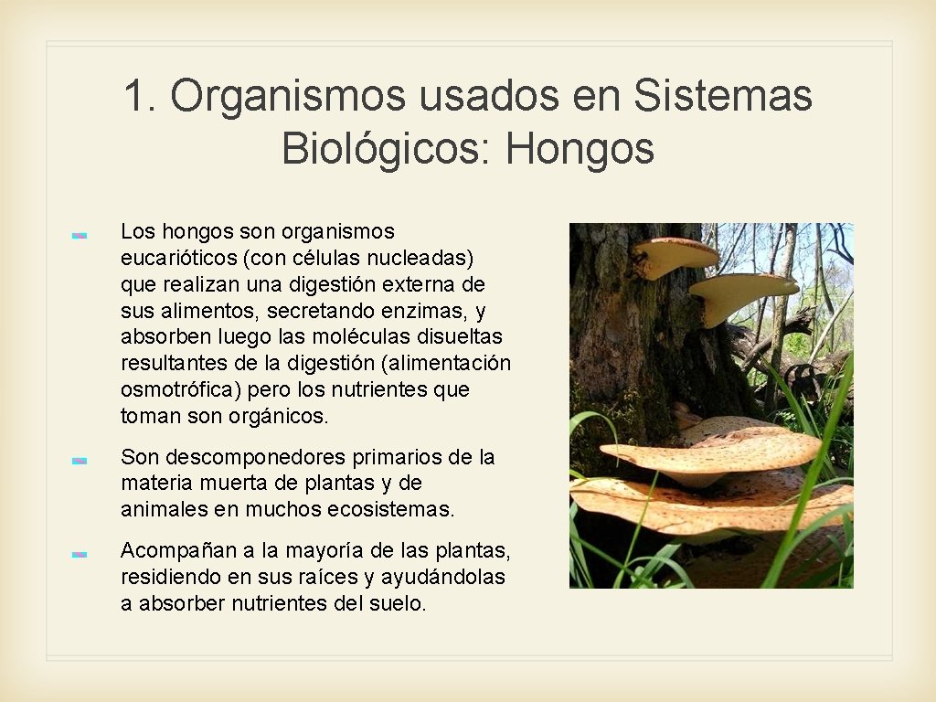 1. Organismos usados en Sistemas Biológicos: Hongos Los hongos son organismos eucarióticos (con células