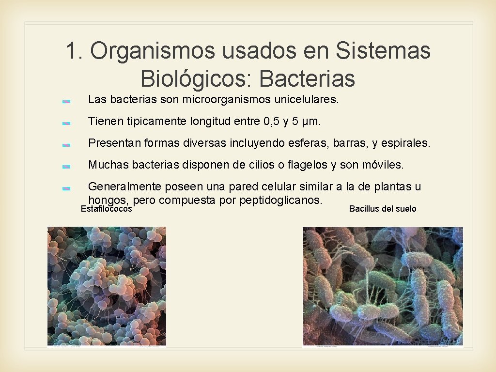1. Organismos usados en Sistemas Biológicos: Bacterias Las bacterias son microorganismos unicelulares. Tienen típicamente