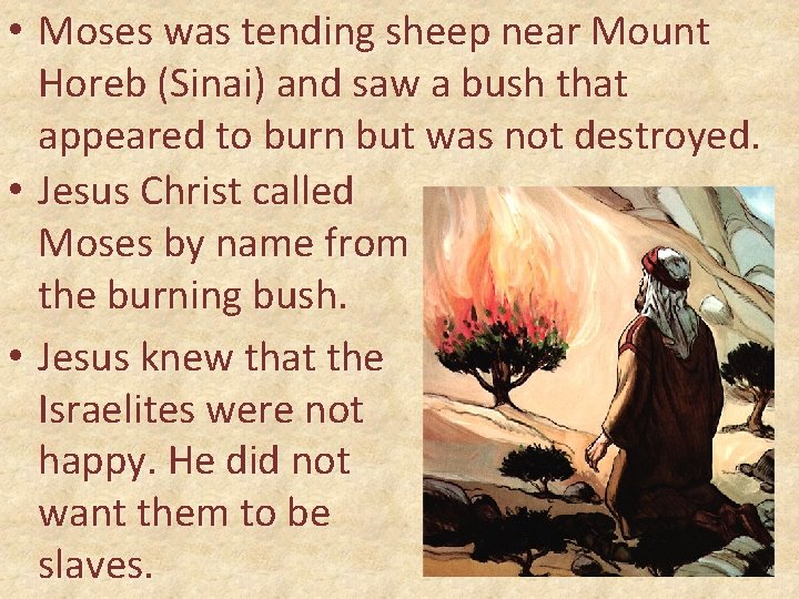  • Moses was tending sheep near Mount Horeb (Sinai) and saw a bush