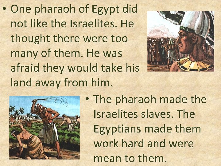  • One pharaoh of Egypt did not like the Israelites. He thought there