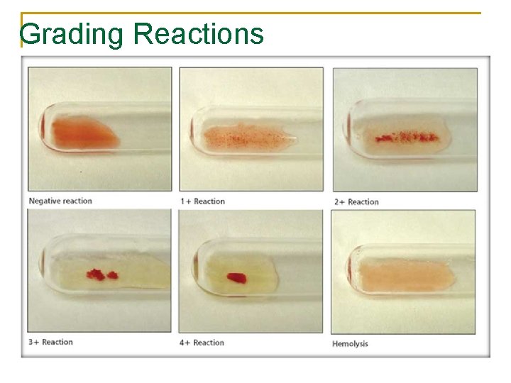 Grading Reactions 