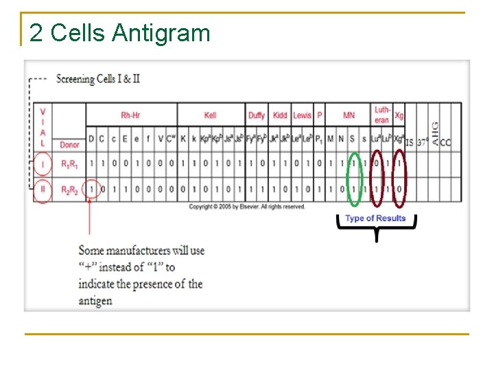 2 Cells Antigram 