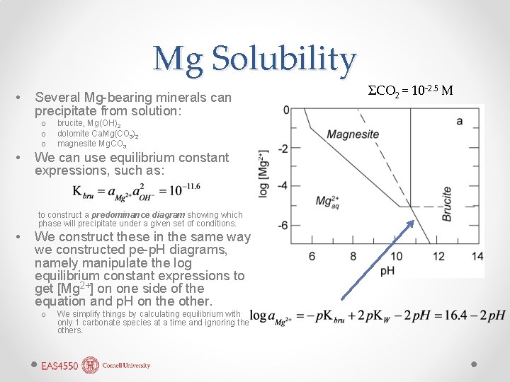 Mg Solubility • Several Mg-bearing minerals can precipitate from solution: o o o •