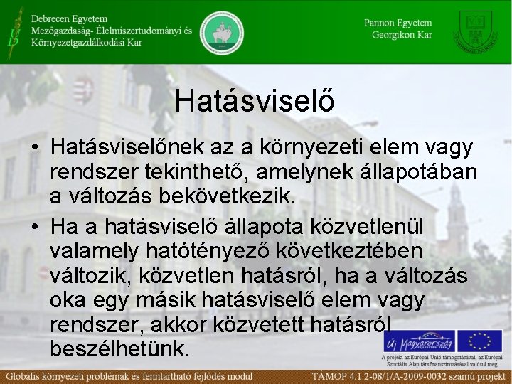 Hatásviselő • Hatásviselőnek az a környezeti elem vagy rendszer tekinthető, amelynek állapotában a változás