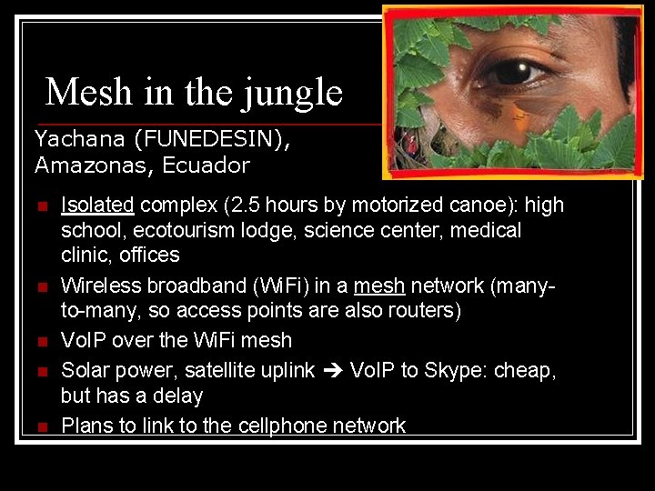 Mesh in the jungle Yachana (FUNEDESIN), Amazonas, Ecuador n n n Isolated complex (2.