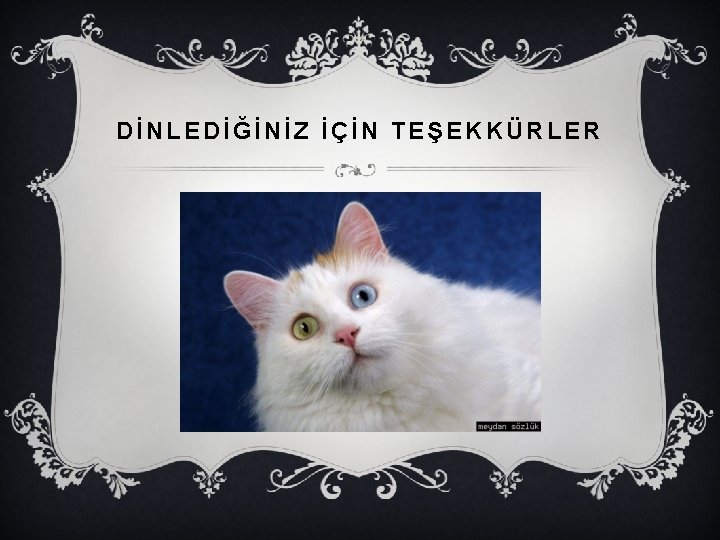 DİNLEDİĞİNİZ İÇİN TEŞEKKÜRLER 