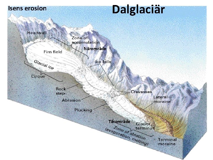 Dalglaciär Isens erosion Närområde Tärområde 