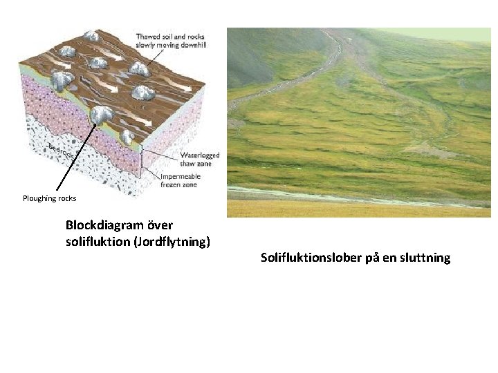 Ploughing rocks Blockdiagram över solifluktion (Jordflytning) Solifluktionslober på en sluttning 