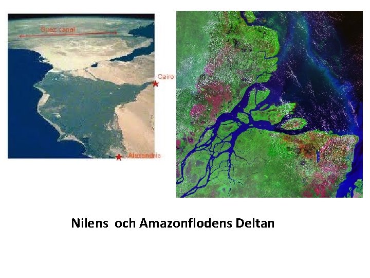 Nilens och Amazonflodens Deltan 