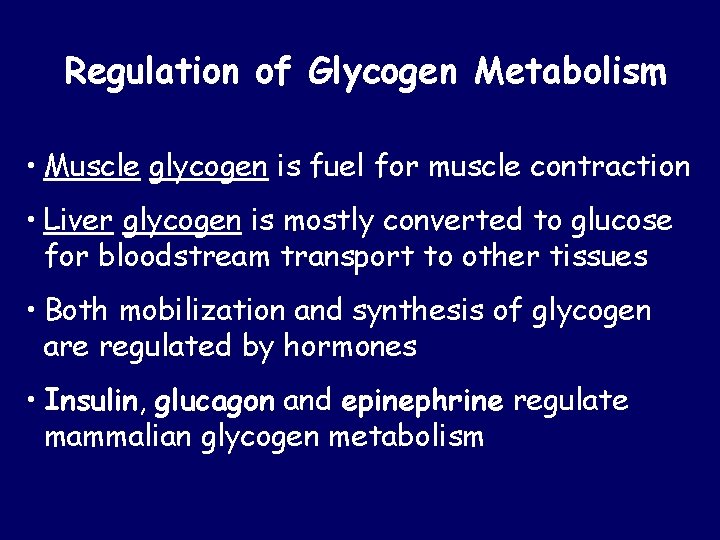 Regulation of Glycogen Metabolism • Muscle glycogen is fuel for muscle contraction • Liver Regulation of Glycogen Metabolism • Muscle glycogen is fuel for muscle contraction • Liver