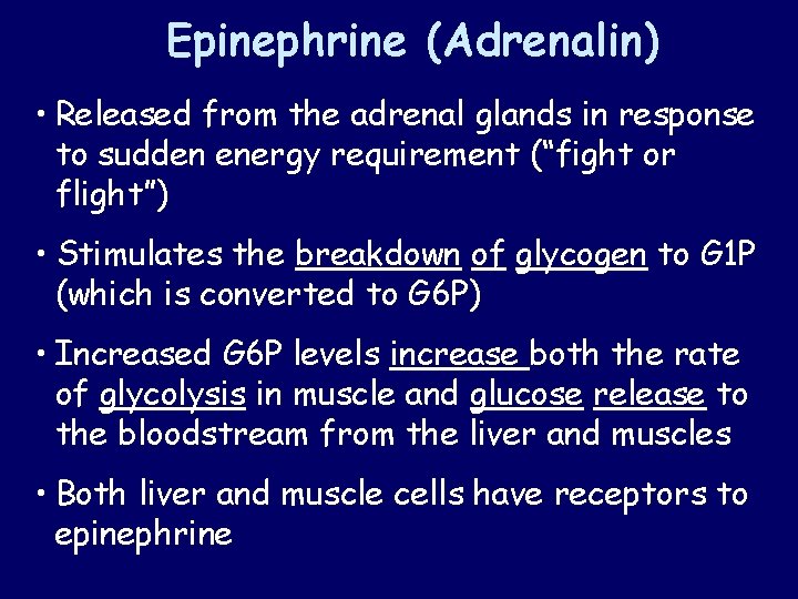 Epinephrine (Adrenalin) • Released from the adrenal glands in response to sudden energy requirement Epinephrine (Adrenalin) • Released from the adrenal glands in response to sudden energy requirement
