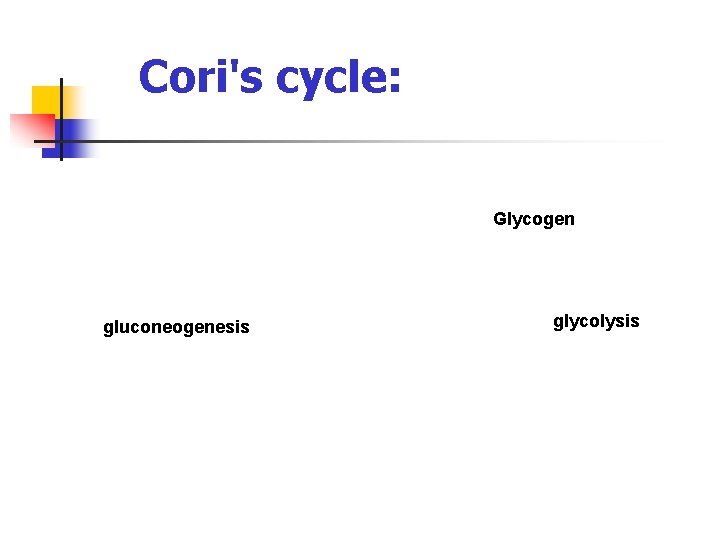 Cori's cycle: Glycogen gluconeogenesis glycolysis Cori's cycle: Glycogen gluconeogenesis glycolysis