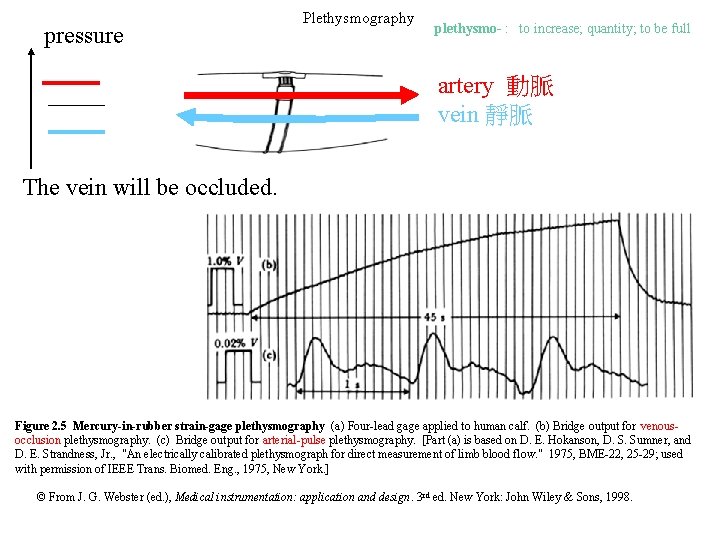 pressure Plethysmography plethysmo- : to increase; quantity; to be full artery 動脈 vein 靜脈