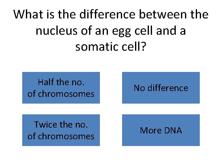 What is the difference between the nucleus of an egg cell and a somatic