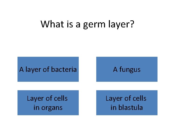 What is a germ layer? A layer of bacteria A fungus Layer of cells