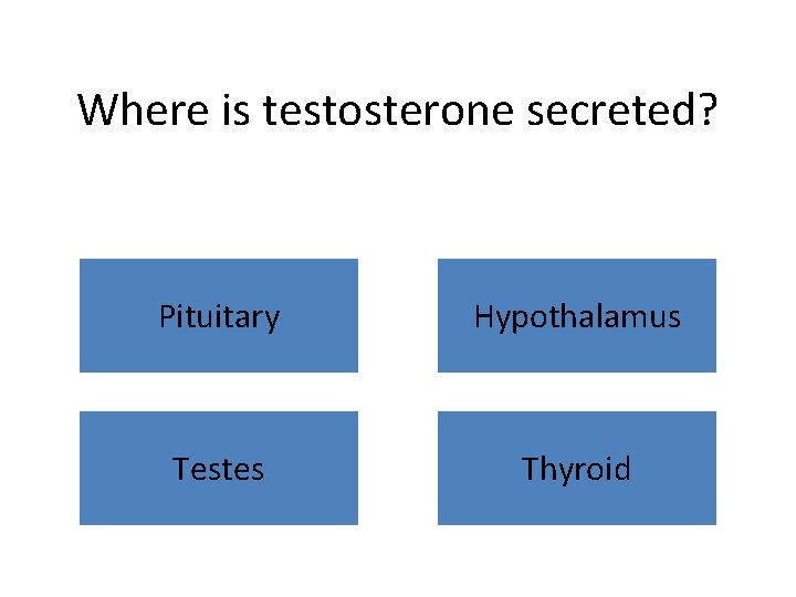 Where is testosterone secreted? Pituitary Hypothalamus Testes Thyroid 