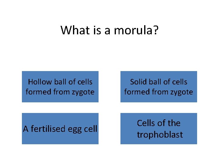 What is a morula? Hollow ball of cells formed from zygote Solid ball of