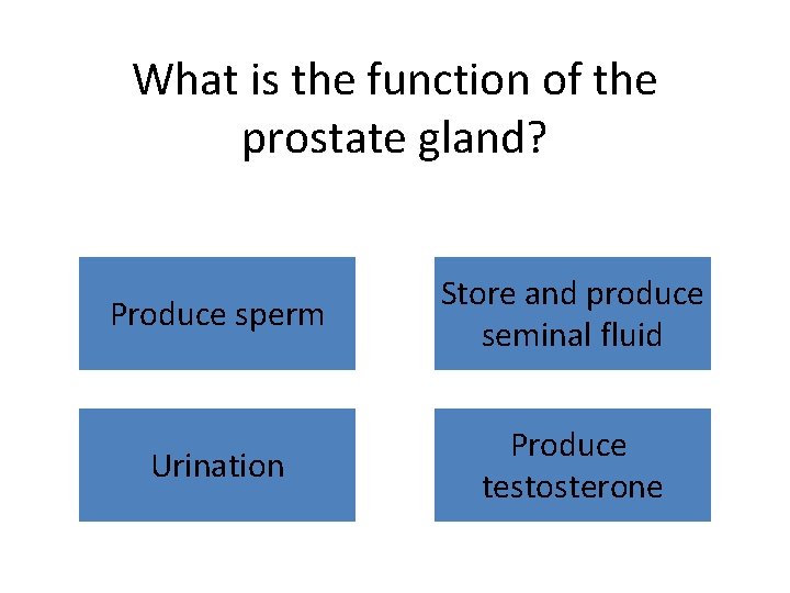 What is the function of the prostate gland? Produce sperm Store and produce seminal