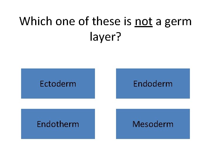 Which one of these is not a germ layer? Ectoderm Endotherm Mesoderm 