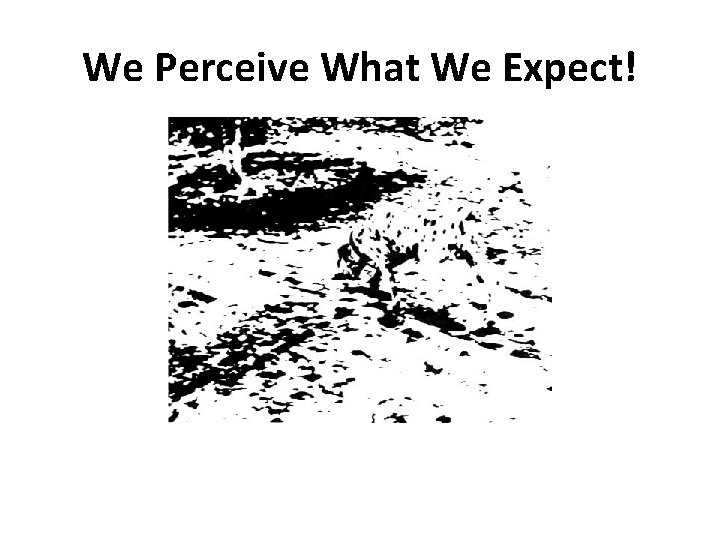 We Perceive What We Expect! 
