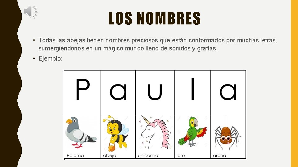 LOS NOMBRES • Todas las abejas tienen nombres preciosos que están conformados por muchas