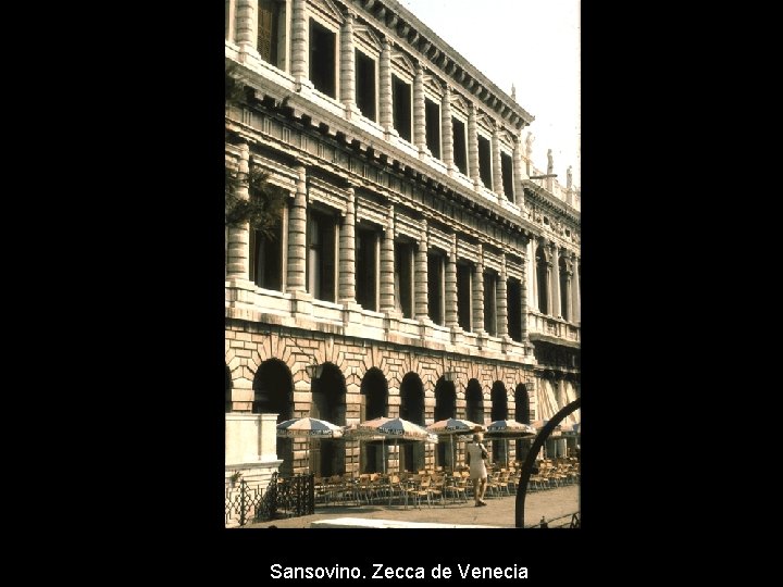 Sansovino. Zecca de Venecia 