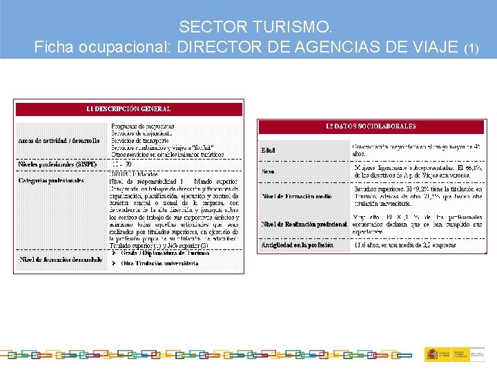 SECTOR TURISMO. Ficha ocupacional: DIRECTOR DE AGENCIAS DE VIAJE (1) 