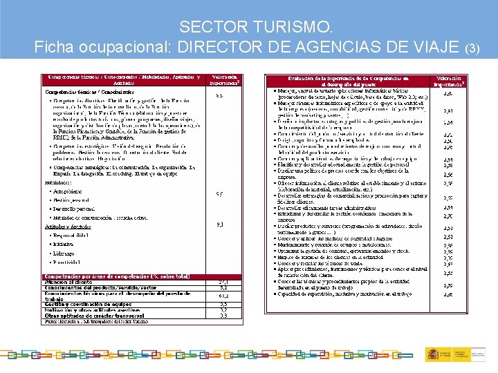 SECTOR TURISMO. Ficha ocupacional: DIRECTOR DE AGENCIAS DE VIAJE (3) 