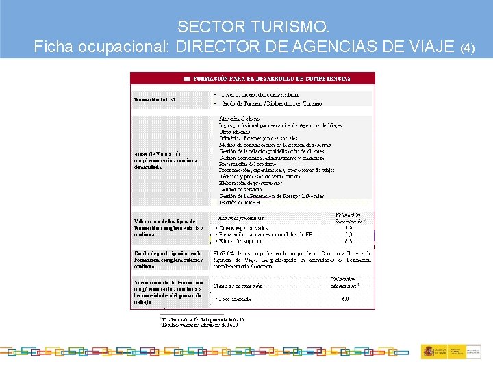 SECTOR TURISMO. Ficha ocupacional: DIRECTOR DE AGENCIAS DE VIAJE (4) 