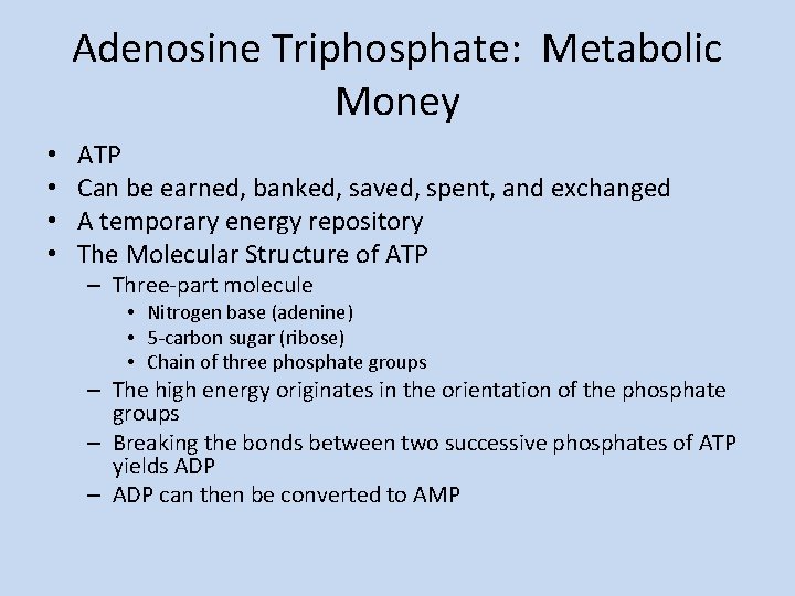 Adenosine Triphosphate: Metabolic Money • • ATP Can be earned, banked, saved, spent, and