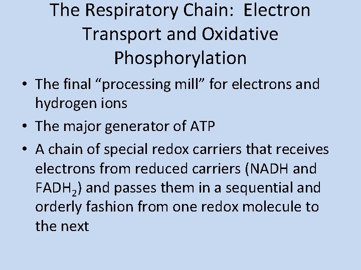 The Respiratory Chain: Electron Transport and Oxidative Phosphorylation • The final “processing mill” for