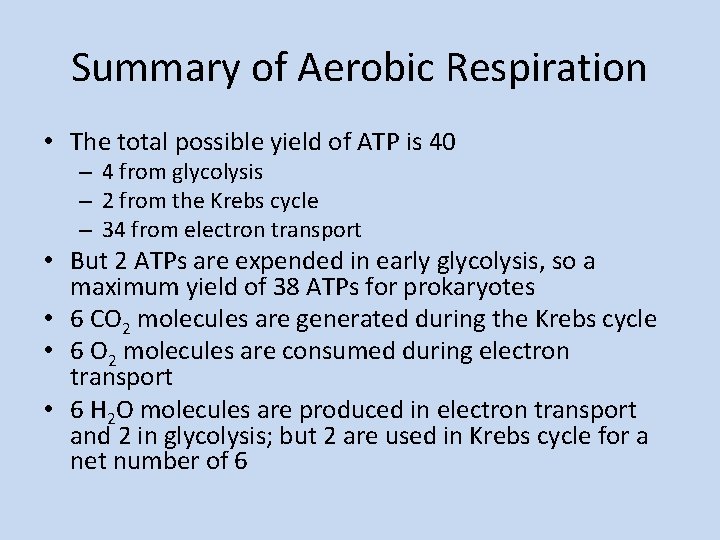 Summary of Aerobic Respiration • The total possible yield of ATP is 40 –