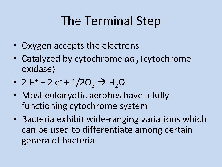 The Terminal Step • Oxygen accepts the electrons • Catalyzed by cytochrome aa 3